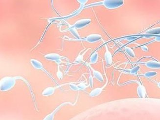 福建哪里可以做三代试管婴儿？